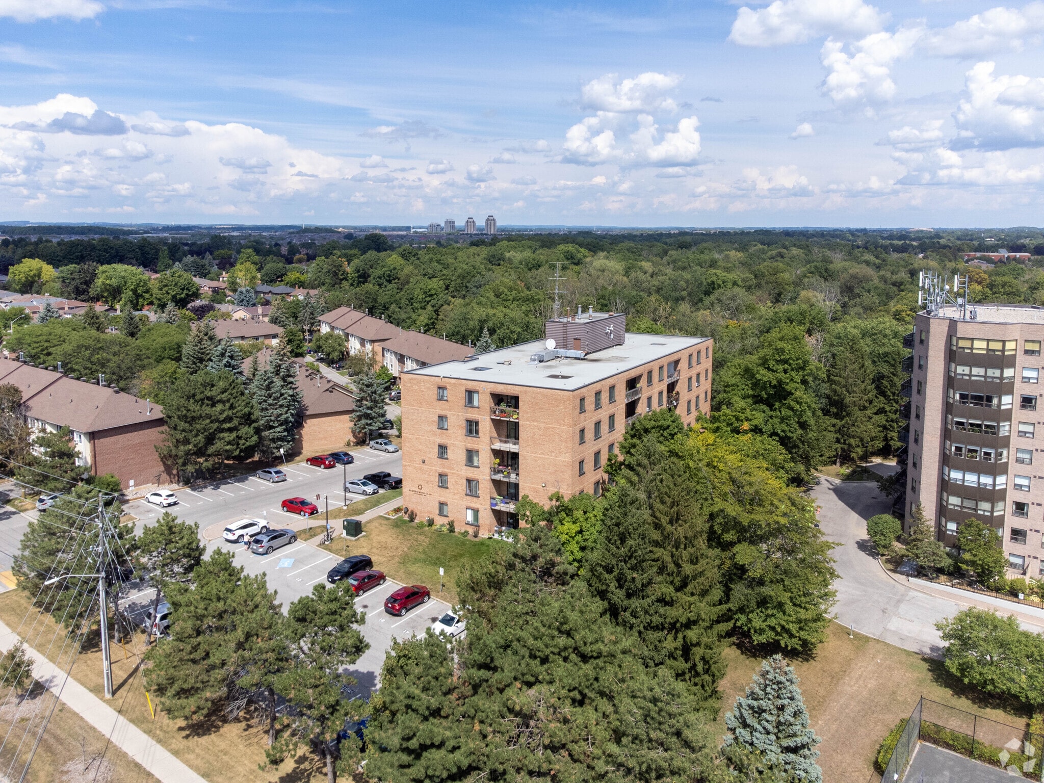 Ramer's Wood Co-Operative