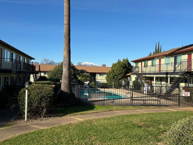 Área de la piscina - Manzanita Manor Apartments