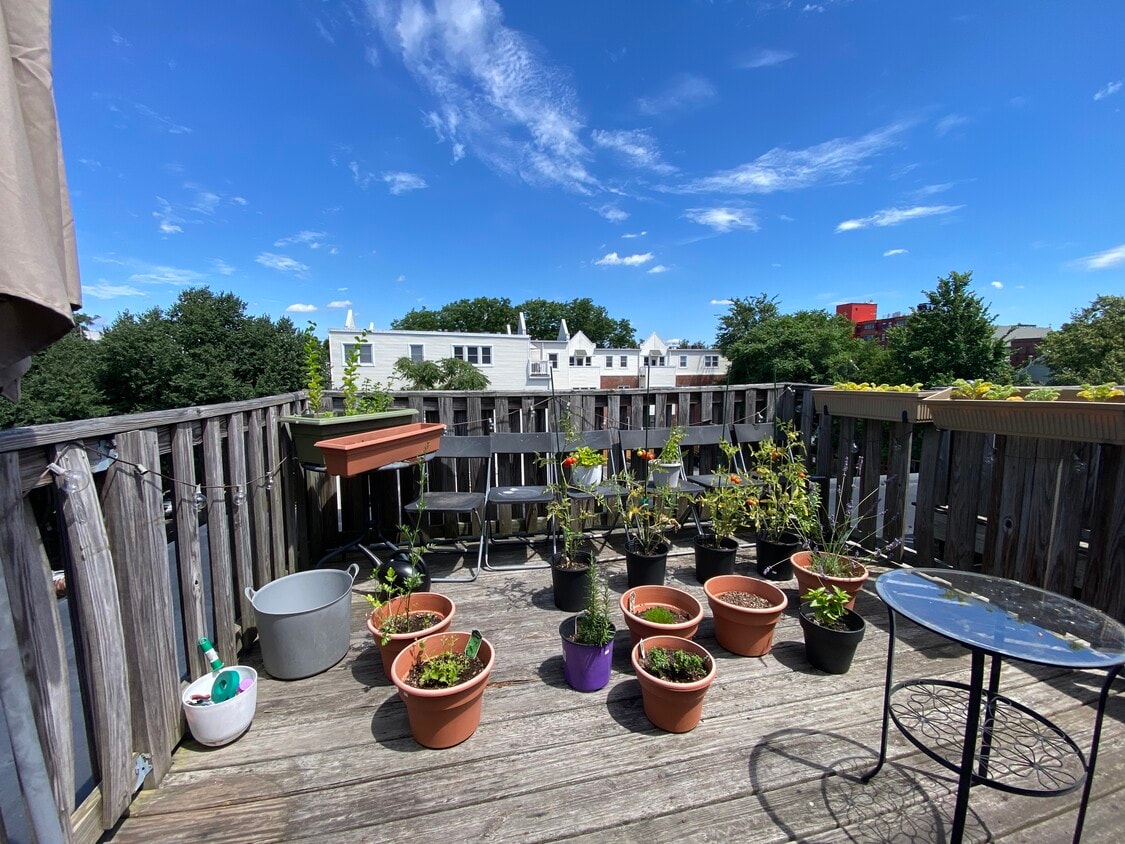 Primary Photo - 71 Fulkerson St