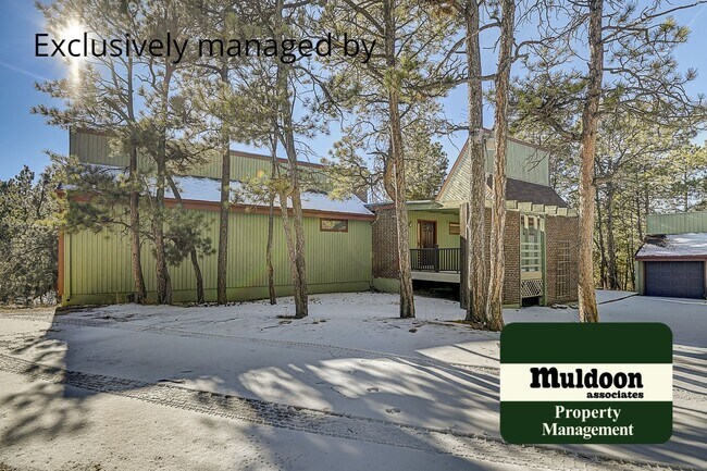 Photo - Stunning Black Forest Home!