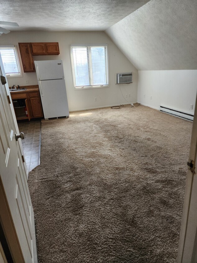 Living room - 211 E Pearl St