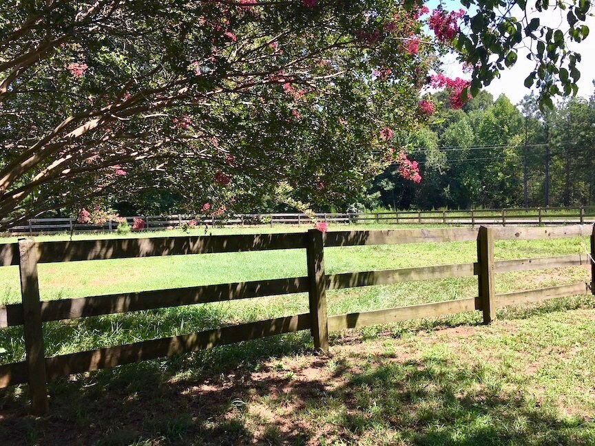 Peace and quiet of the country - 932 Solen Williams Rd