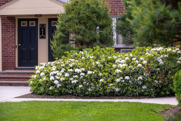 Foto del edificio - Lincoln Gardens