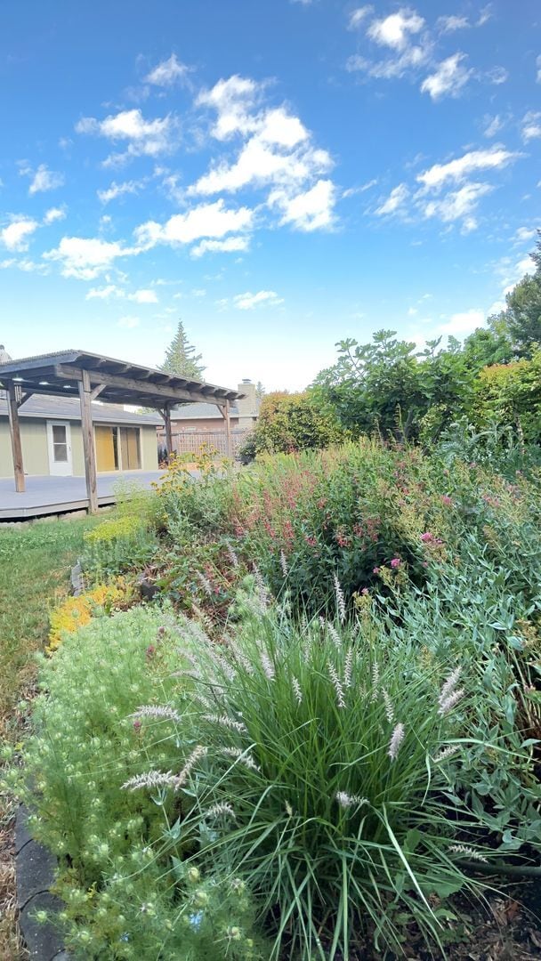 Building Photo - Lovely 3 Bedroom Home with Privacy and Pat...