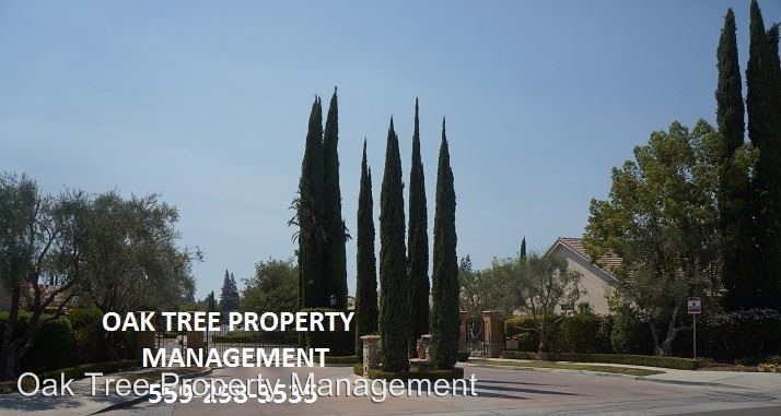 Primary Photo - 2146 W Via Le Fontane