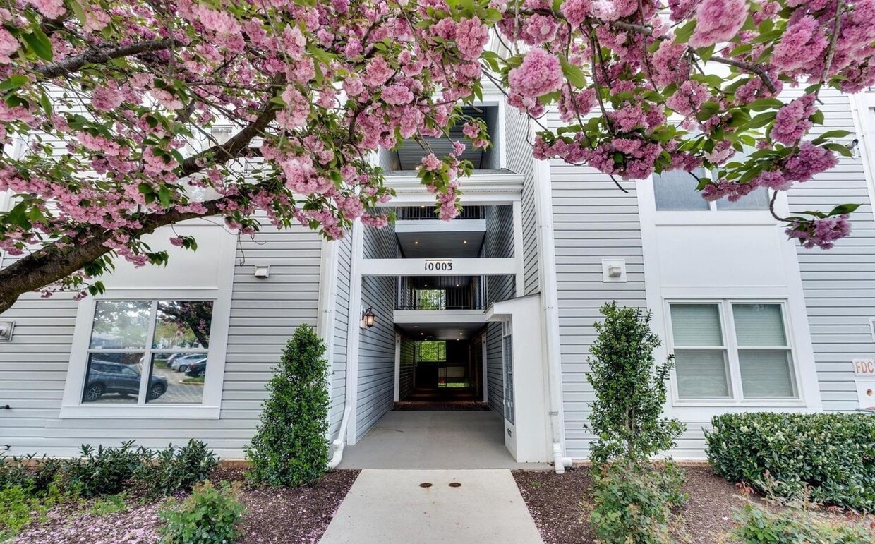 Primary Photo - Beautiful 3BR 2BA condo located in the Dec...