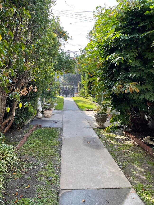 Orange and lemon trees! - 12219 Magnolia Blvd