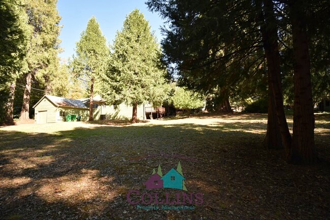 Building Photo - 10879 Gold Flat Rd