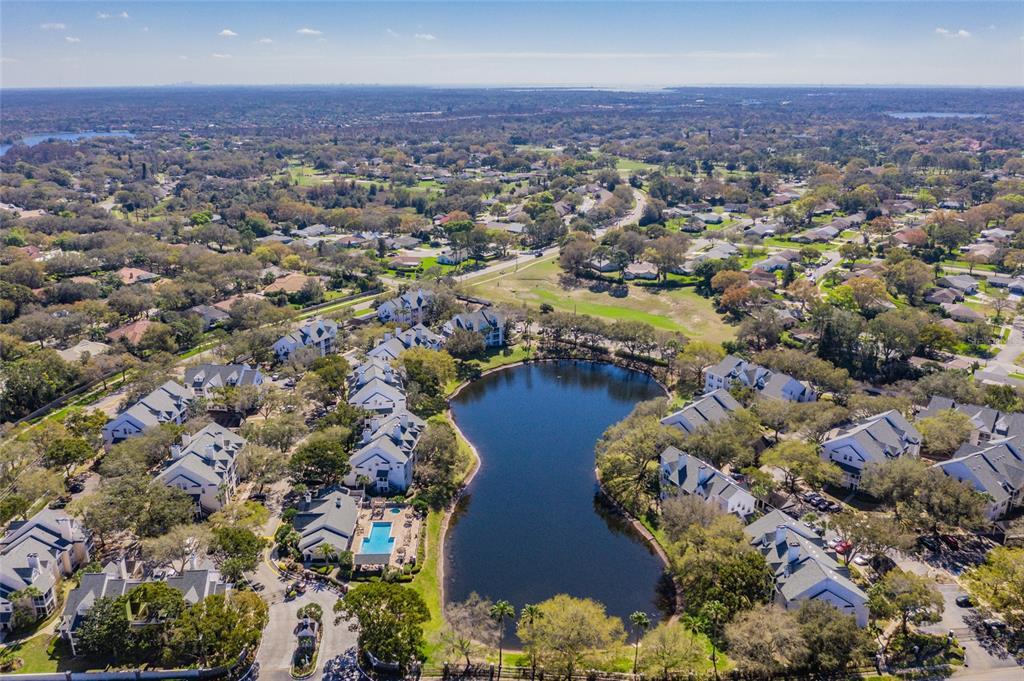 3270 Haviland Ct Unit 101, Palm Harbor, FL 34684 Condo for Rent in