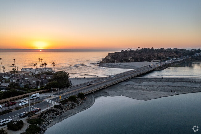 Dog Beach is a popular place to bring your dog and play all day in Del Mar.