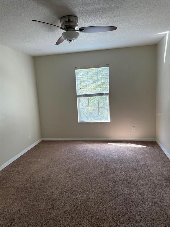 Foto del edificio - 287 Winding Vine Ln