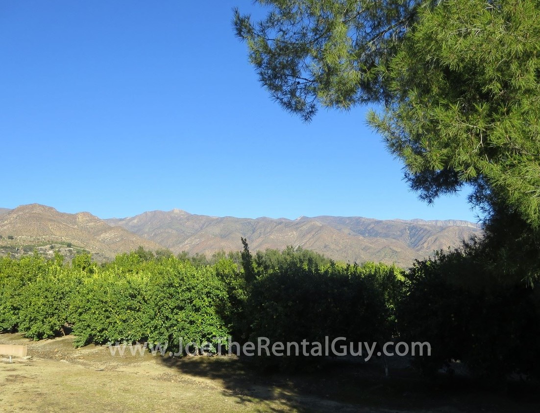 Primary Photo - 1 br, 1 bath House - 900 # B Orange Rd