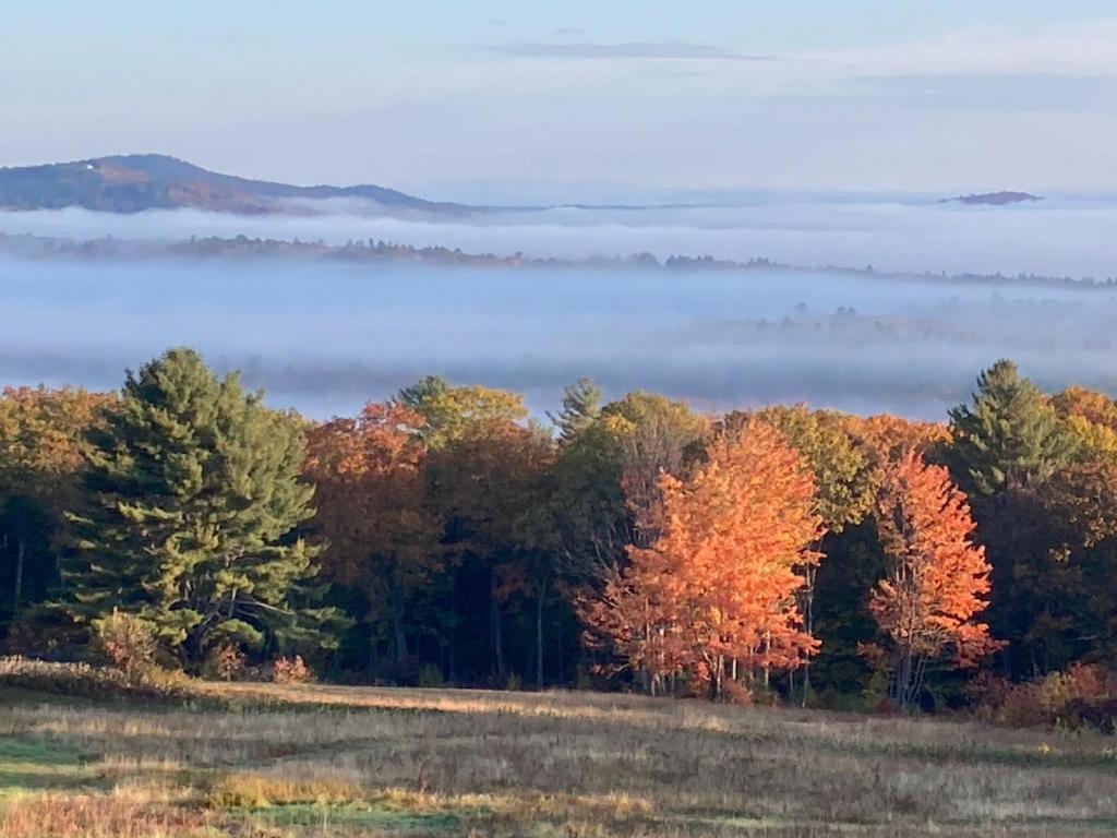 60 Allen Rd, Sebago, ME 04029 House Rental in Sebago, ME