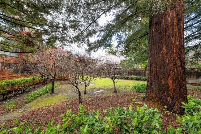 Foto del edificio - 4250 El Camino Real