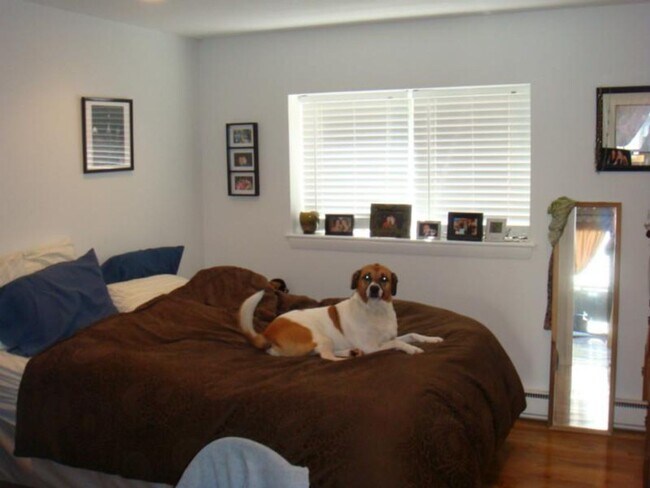 Foto del edificio - Huge, pet friendly unit near the Green Lin...