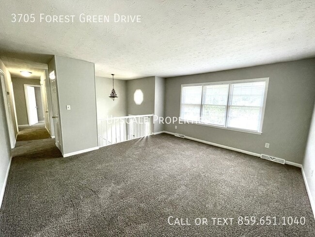 Foto del edificio - 3705 Forest Green Dr