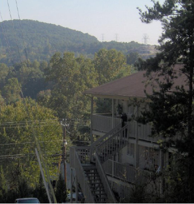 Vista de la cancha de Civic - RWL Apartments