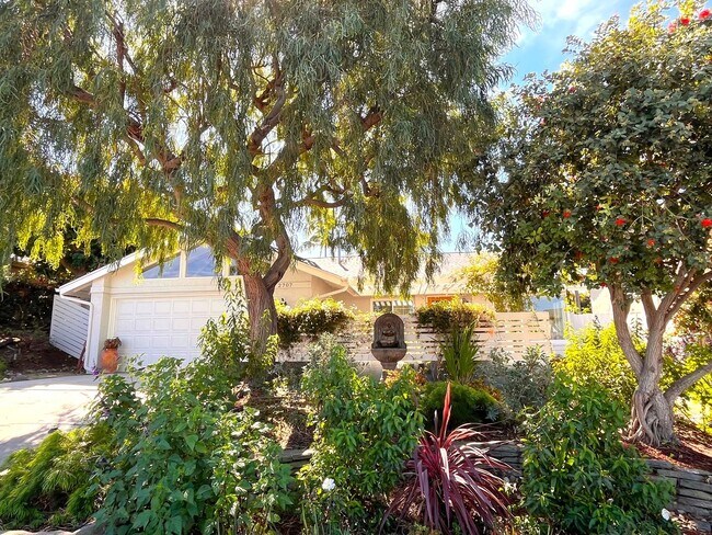 Building Photo - Most Charming Home in La Costa