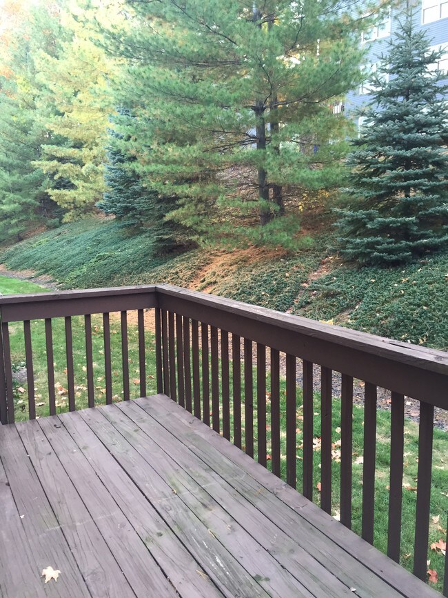 38 Crown Ridge, Newington, CT 06111 Townhome Rentals in Newington CT