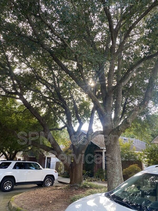 Building Photo - 4210 Lake Ave