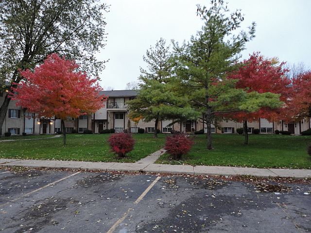 Patios en Roselawn - Courtyards at Roselawn Park