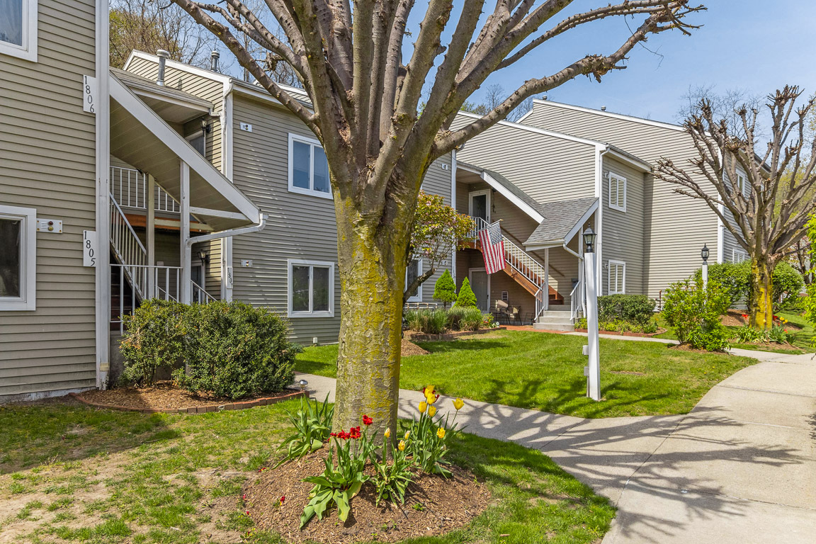 Primary Photo - Bedford Lake Apartments