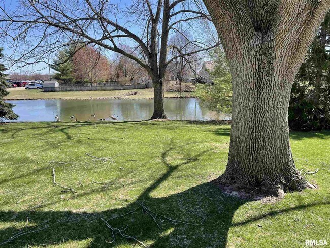 Foto del edificio - 2011 Vista Lake Ct
