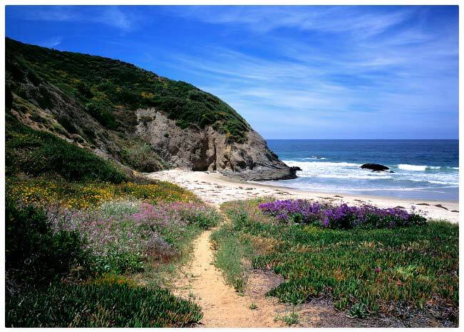 Foto principal - 16 Corniche Dr