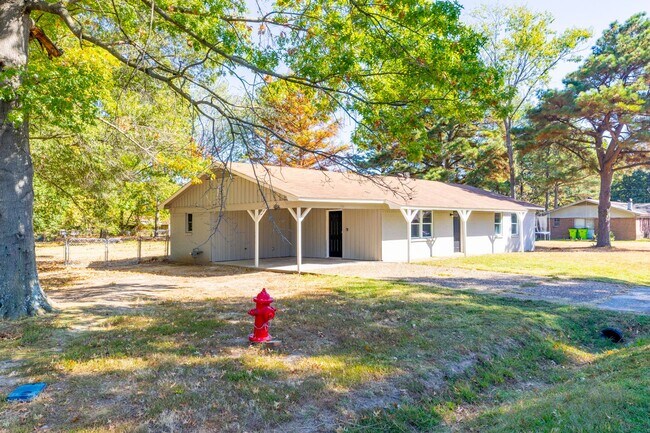 Building Photo - Updated 4 Bed/2 Bath Home: Lonoke, AR