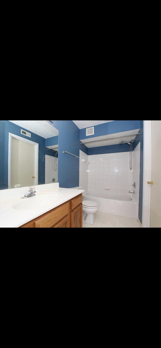 bathroom will have same black floor, grey paint, and new black fixtures - 529 Aspen Glen Dr