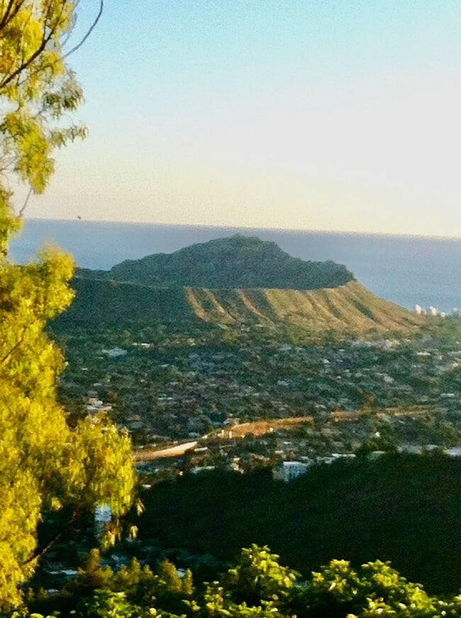 view from your house - 2158 Halekoa Dr