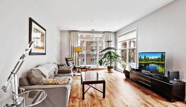Living Room - 301 Oak Grove St