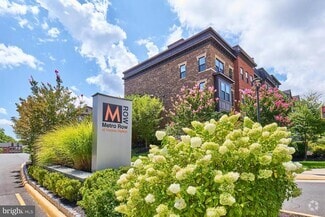 Building Photo - 3060 Wild Blue Indigo Ct