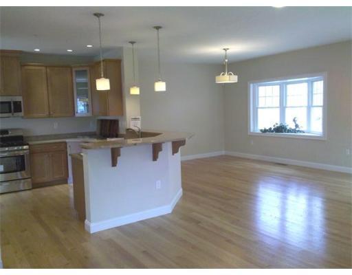 Open first floor - 8 Murray Ave