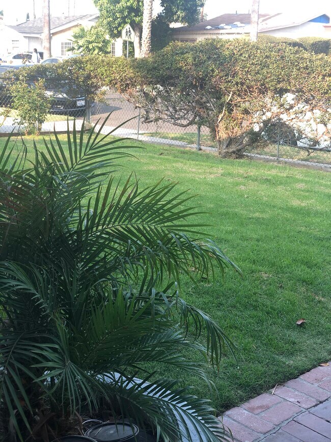 Front Yard - 4021 3rd Ave