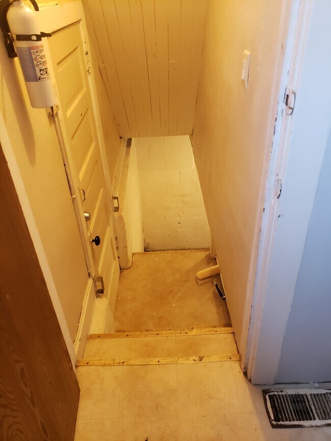 Back door and stairs to downstairs - 2027 Ridge Ave