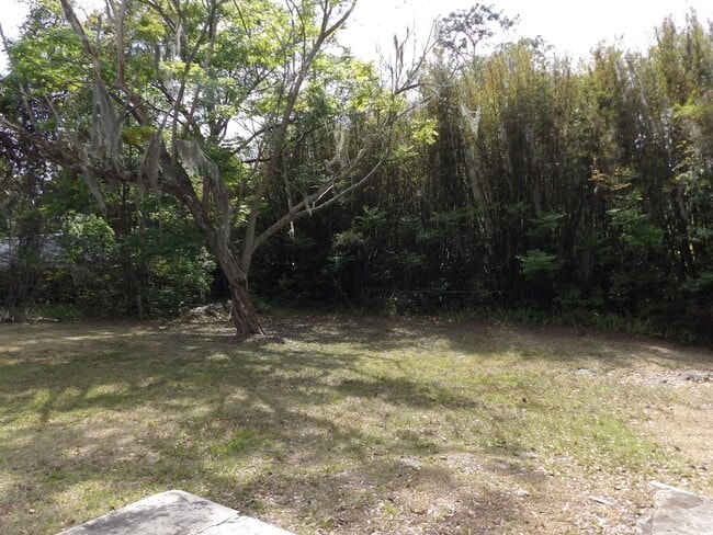 Foto del edificio - Orange City 3 Bedrooms 2 Bath 900 SQ FT Call Carole Arcaro 386-216-4900