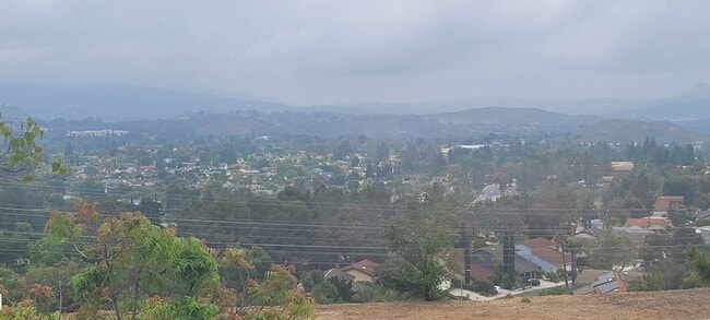 Building Photo - 893 Calle Pinata