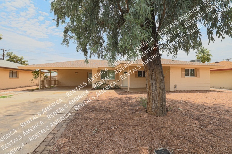 Foto del edificio - 935 E Wesleyan Dr