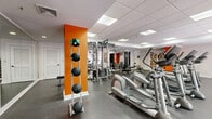 This fitness center at 25 Glenbrook Rd in Stamford, Connecticut, offers a well-appointed, single-floor exercise space designed to support a full range of workout routines. The room features durable rubber flooring throughout, providing a safe and functional surface for both cardio and strength training activities. A dropped ceiling with recessed panel lighting ensures consistent, even illumination across the entire space.

The cardio area is generously equipped with multiple treadmills, elliptical trainers, and stationary bikes, arranged to allow comfortable spacing between machines. A wall-mounted flat-screen television is positioned for easy viewing during workouts. Large glass doors and windows along one wall allow natural light to filter in, creating an inviting and energizing atmosphere.

The strength training section includes a cable machine system, adjustable weight bench, and a full dumbbell rack, catering to users of varying fitness levels. Bold orange accent walls add a vibrant, motivating energy to the otherwise clean white interior. Floor-to-ceiling mirrors in the strength area enhance the sense of space and allow users to monitor their form. The room is accessed through elegant French doors, adding a refined architectural detail to this practical and fully functional fitness facility.