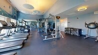 Located at 1600 Harbor Blvd in Weehawken, NJ, this fitness center offers a generously proportioned, single-floor facility designed to accommodate a full range of workout needs. The space is thoughtfully laid out, with distinct zones for cardio training, strength equipment, and free weights, all sharing an open, unobstructed floor plan finished with durable rubber sport flooring throughout.

The cardio section lines the windowed perimeter wall, where a row of treadmills, rowing machines, and other aerobic equipment benefit from abundant natural light streaming through large windows that frame views of the surrounding neighborhood. A vibrant, nature-inspired mural adds a distinctive artistic touch to the cardio zone, enhancing the overall atmosphere.

The strength training area is well-appointed with multiple cable and resistance machines, adjustable benches, a cable crossover unit, and a dedicated free weights section featuring a full dumbbell rack. Large floor-to-ceiling mirrors are strategically placed to visually expand the space and allow users to monitor their form.

Overhead, circular pendant light fixtures and recessed lighting provide warm, even illumination throughout. Accent walls in soft blue tones complement the crisp white ceilings, creating a clean, modern aesthetic. The facility also includes storage for accessories and functional training equipment such as medicine balls and agility gear, making it a versatile and comprehensive fitness destination.