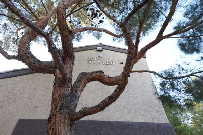 Foto del edificio - SHOWINGS AVAILABLE NOW