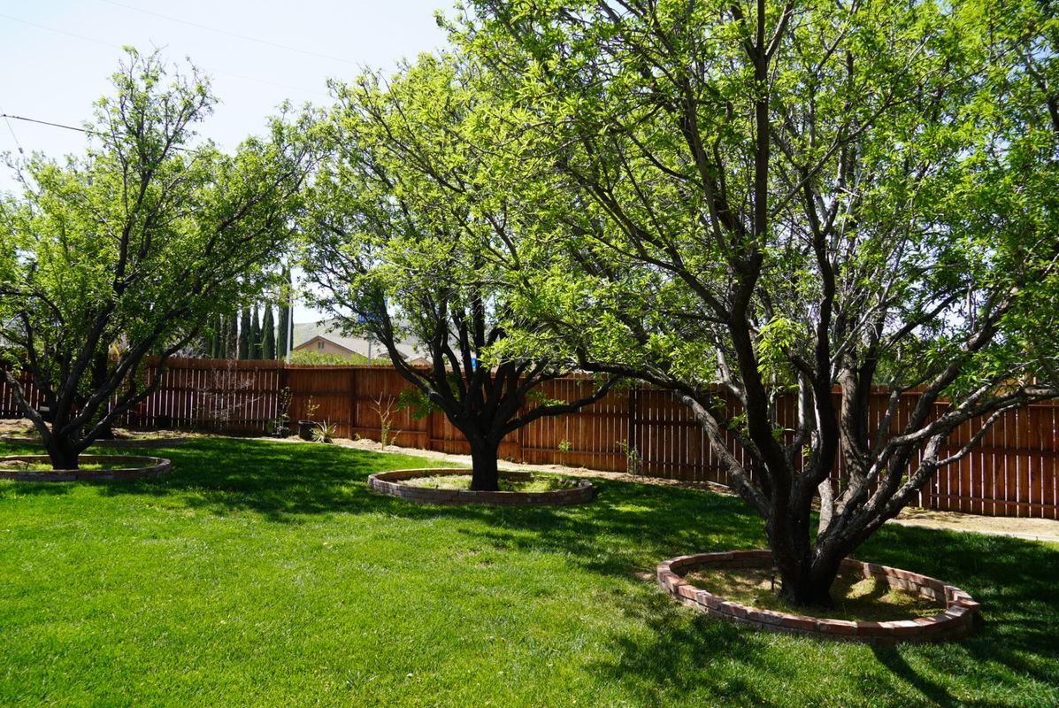 Foto principal - 4851 W Ave M12