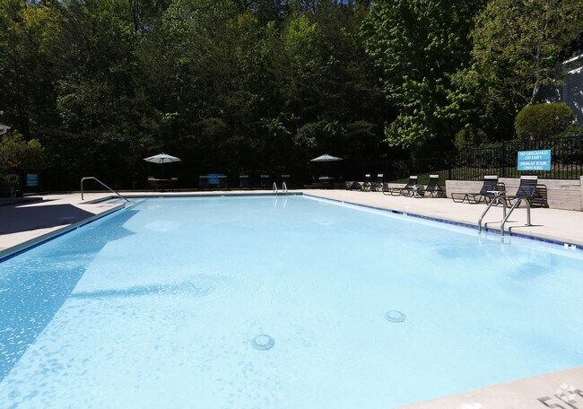 Piscina - Laurel Bluff Apartments and Townhomes