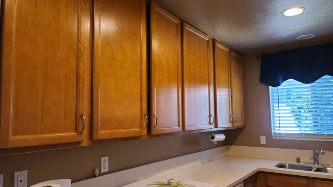 Building Photo - 7831 Camino Noguera