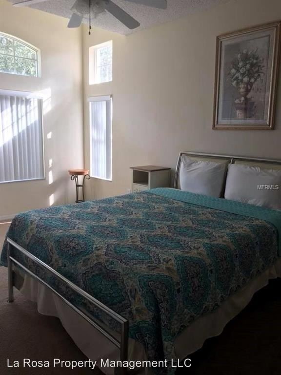 Foto del edificio - 4 br, 3 bath House - 8401 Crystal Cove Loop