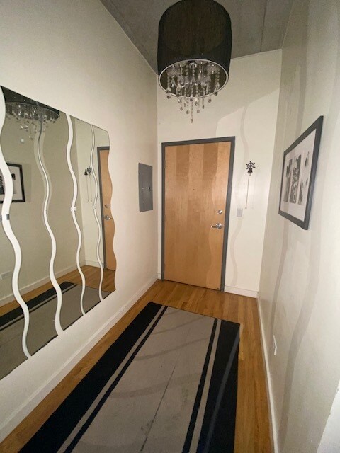 Front door - 1720 S Michigan Ave