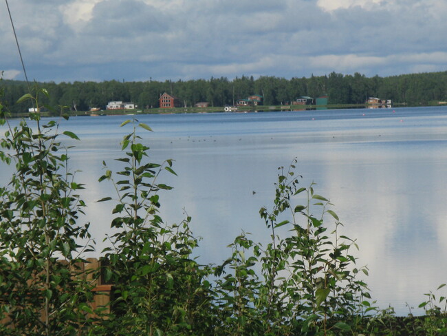 Lake across the road. - 161 E Susitna Ave