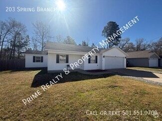 Building Photo - 203 Spring Branch Dr