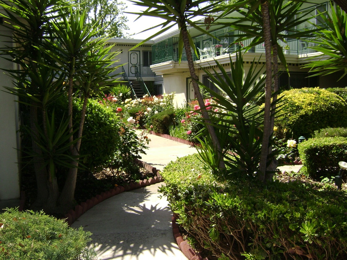 The Colonial House Apartments San Jose Ca Apartments Com